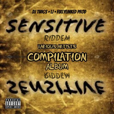 SENSITIVE RIDDEM COMPILATION ALBUM SUMMER 2023